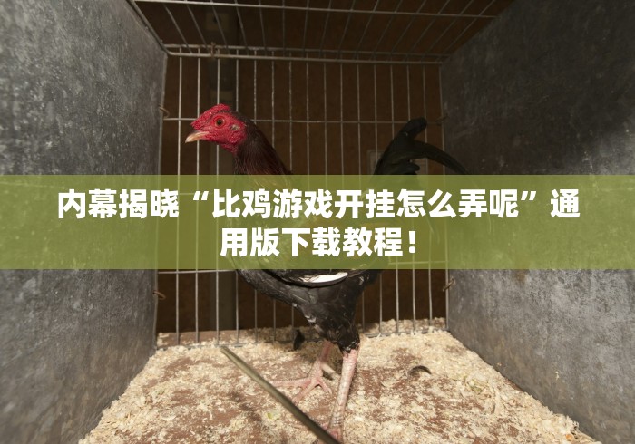内幕揭晓“比鸡游戏开挂怎么弄呢”通用版下载教程！