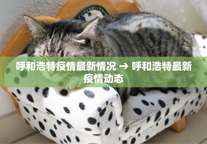 玩家必知“贵州翻鸡麻将开挂怎么弄”可以开挂作弊