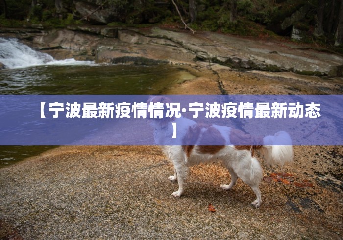 2026新发科技“微信决胜麻将小程序万能开挂器”揭秘透视辅助万能挂
