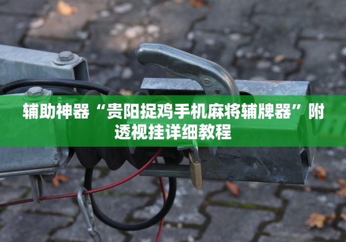 辅助神器“贵阳捉鸡手机麻将辅牌器”附透视挂详细教程
