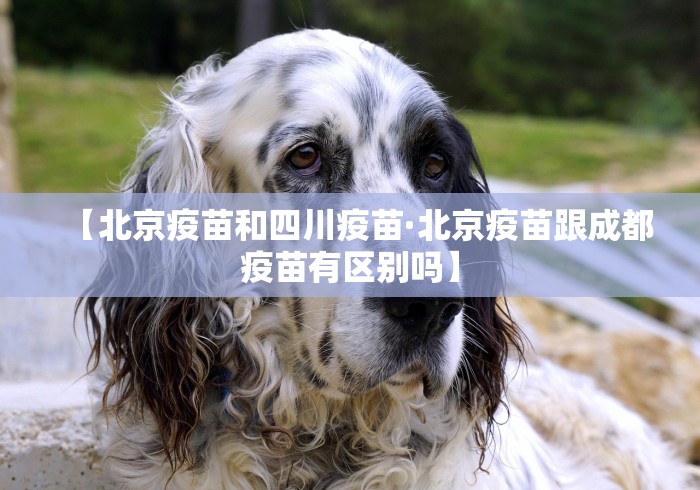 全新解说微乐河南麻将小程序万能挂免费版”-必赢神器安装