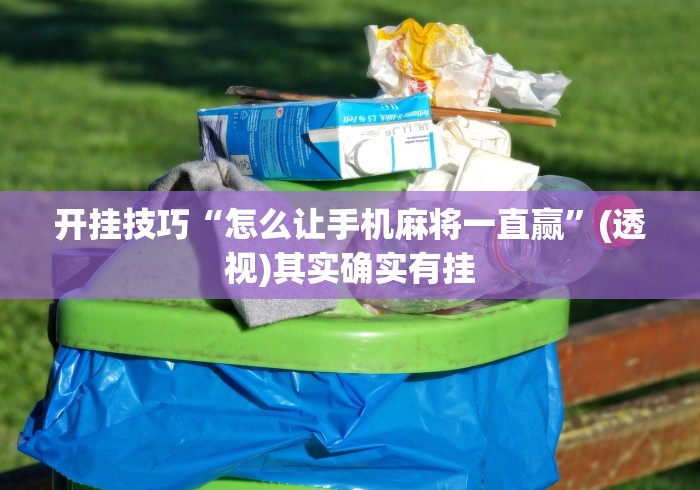 真实辅助“欢乐麻将有挂”掌握辅助功能必胜规则
