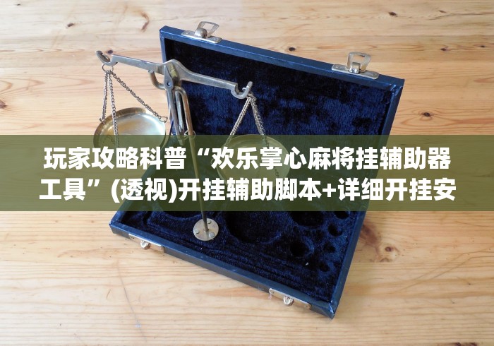 玩家攻略科普“欢乐掌心麻将挂辅助器工具”(透视)开挂辅助脚本+详细开挂安装教程