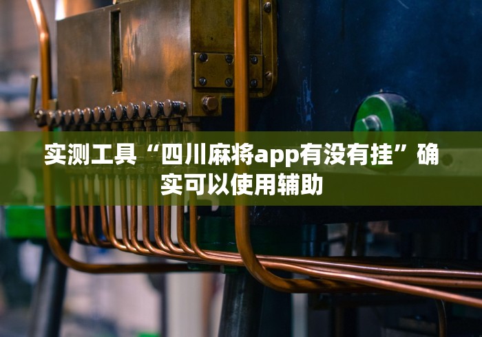 实测工具“四川麻将app有没有挂	”确实可以使用辅助