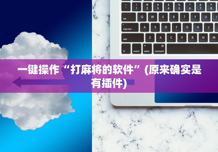 一键操作“打麻将的软件”(原来确实是有插件)