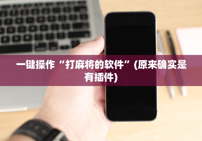 一键操作“打麻将的软件”(原来确实是有插件)