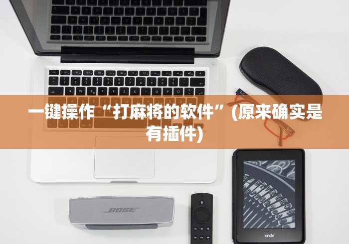 一键操作“打麻将的软件	”(原来确实是有插件)