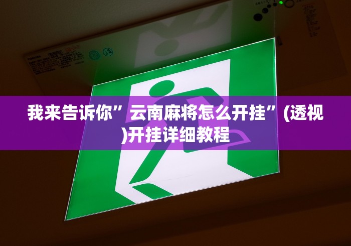 我来告诉你”云南麻将怎么开挂”(透视)开挂详细教程