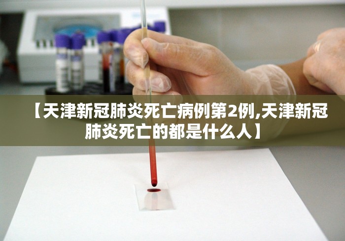 秒懂经验“绿豆速记记牌器	”(果然有透视挂)