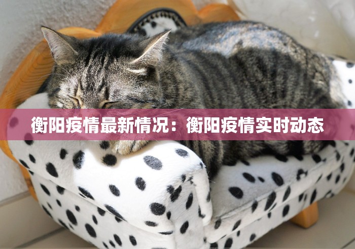 开挂辅助工具“浙江游戏大厅怎么样才有好牌	”开挂辅助脚本+详细开挂安装教程