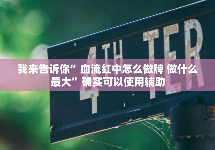 我来告诉你”血流红中怎么做牌 做什么最大”确实可以使用辅助