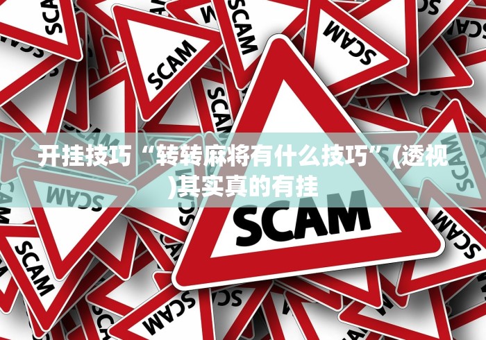 开挂技巧“转转麻将有什么技巧”(透视)其实真的有挂