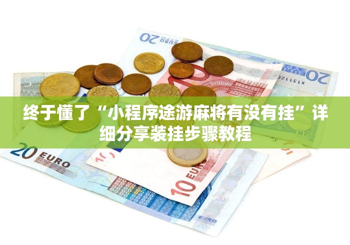 终于懂了“小程序途游麻将有没有挂”详细分享装挂步骤教程
