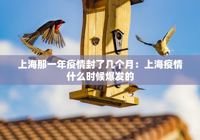 玩家必读“决胜麻将到底有没有挂”详细开挂教程