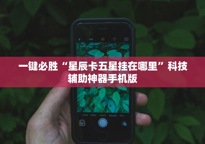 一键必胜“星辰卡五星挂在哪里	”科技辅助神器手机版