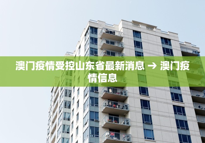 全新解说泉州麻将开挂神器下载安装”2025开挂教程步骤