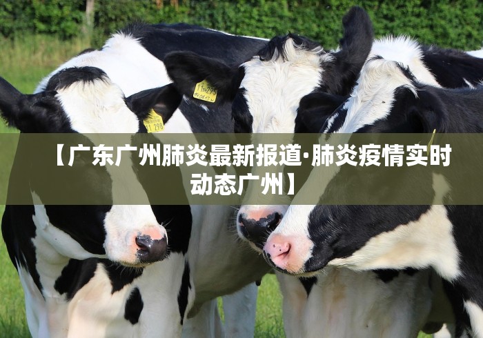必看教程“腾讯欢乐麻将好运来有用吗”详细开挂玩法