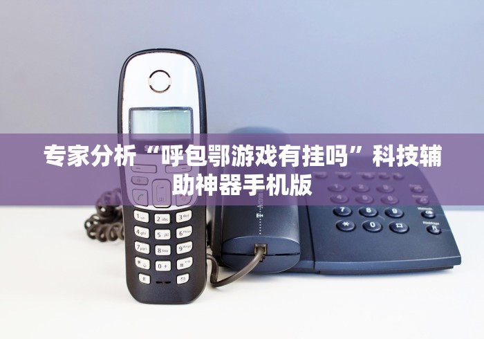 专家分析“呼包鄂游戏有挂吗”科技辅助神器手机版