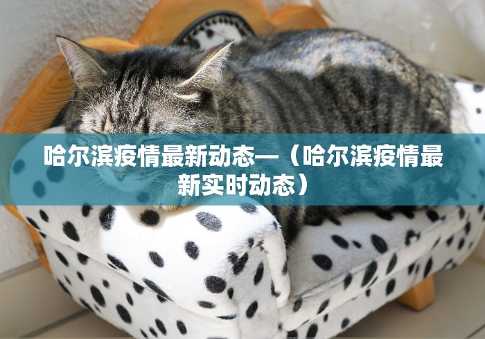 教程开挂辅助:“大发棋牌有挂吗”通用版下载教程！