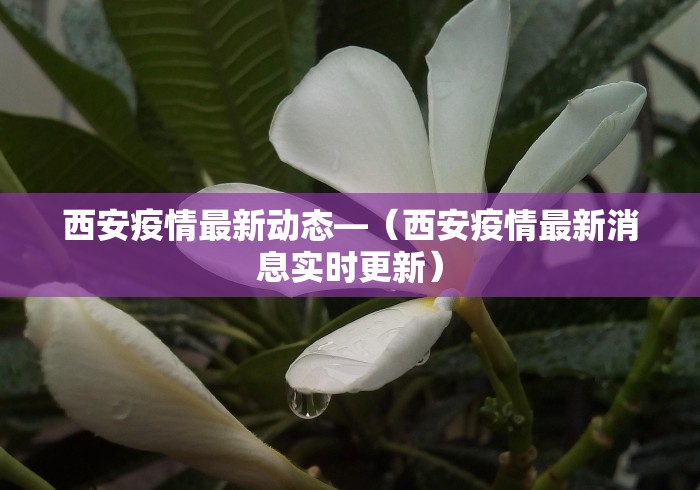辅助神器“微乐山西麻将开挂教程	”作弊(透视)透视辅助