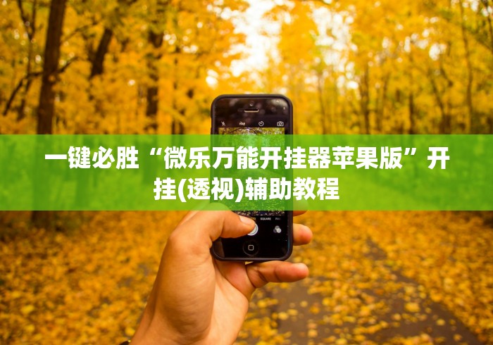 一键必胜“微乐万能开挂器苹果版”开挂(透视)辅助教程