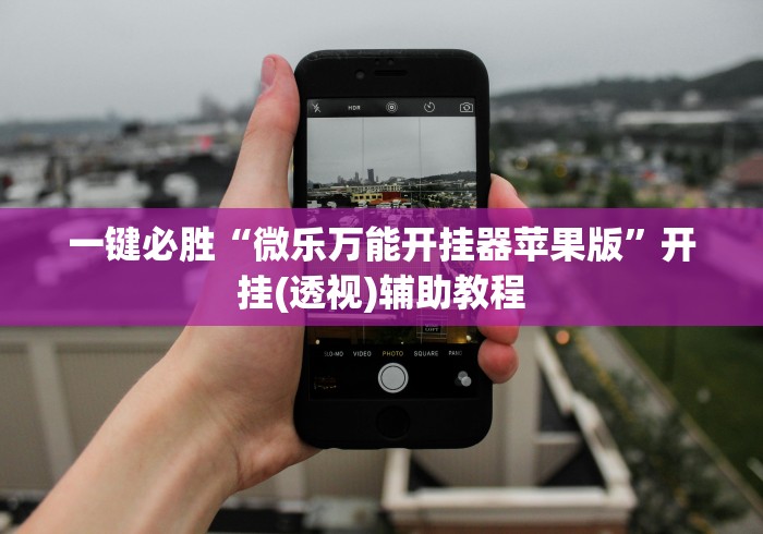 一键必胜“微乐万能开挂器苹果版”开挂(透视)辅助教程