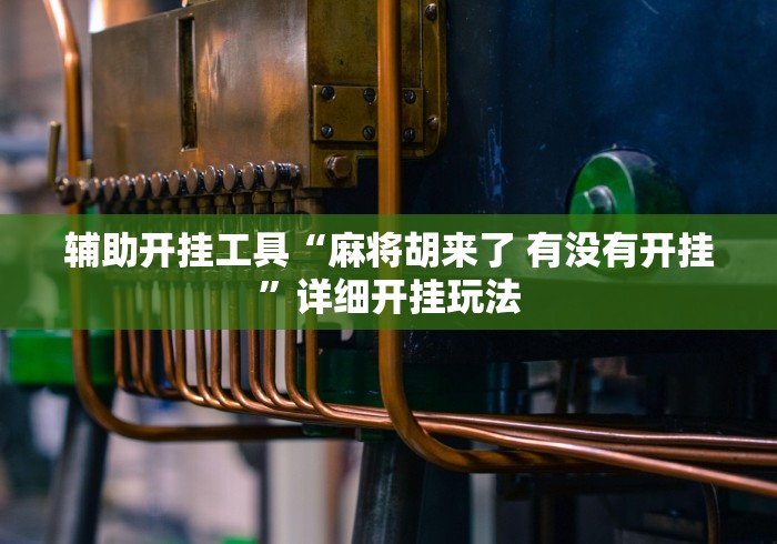 辅助开挂工具“麻将胡来了 有没有开挂	”详细开挂玩法