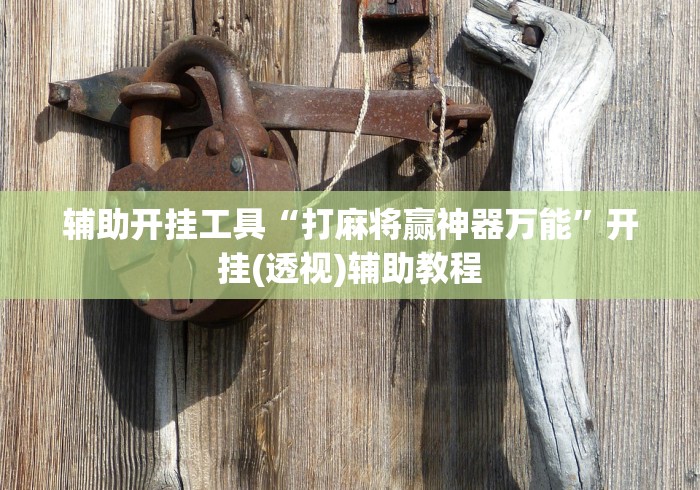 辅助开挂工具“打麻将赢神器万能”开挂(透视)辅助教程