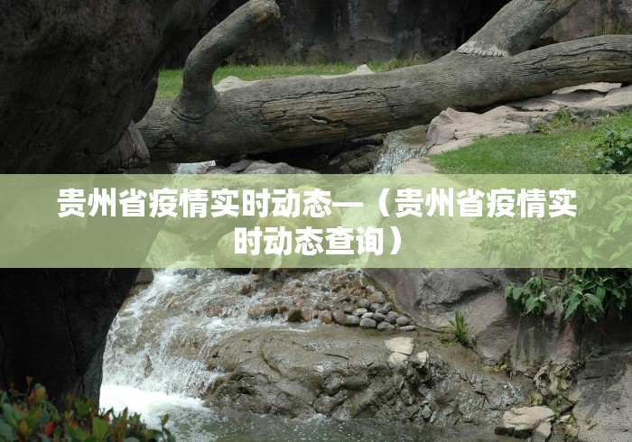 秒懂经验“星辰卡五星到底有没有挂	”开挂辅助详细步骤