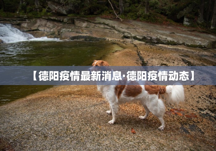 2026首发辅助“微乐麻将必赢神器”开挂(透视)辅助教程
