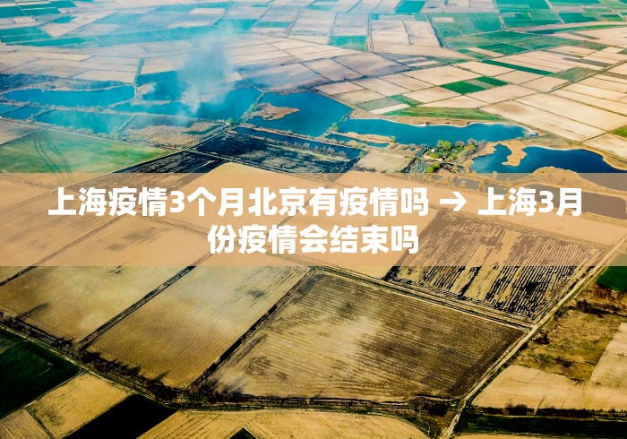 教教大家“雀姬麻将怎么开挂最新版更新内容”通用版下载教程！