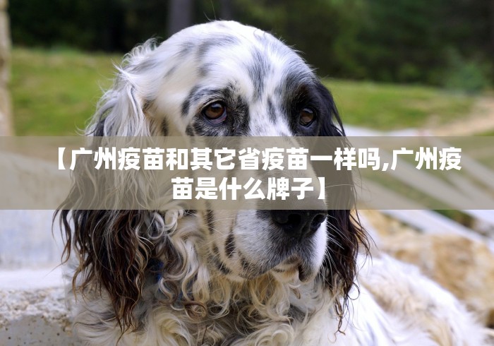 【第一消息】“四川微乐麻将装挂怎么安装”通用版下载教程!