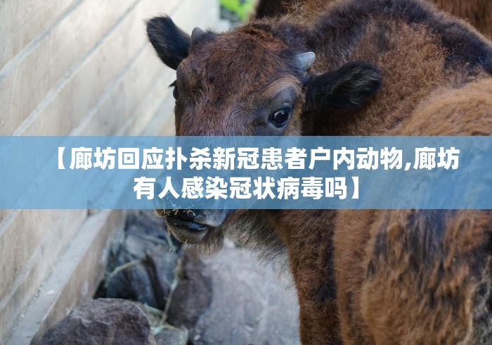 [分析]“怎么知道对方有没有开挂	”掌握辅助功能必胜规则