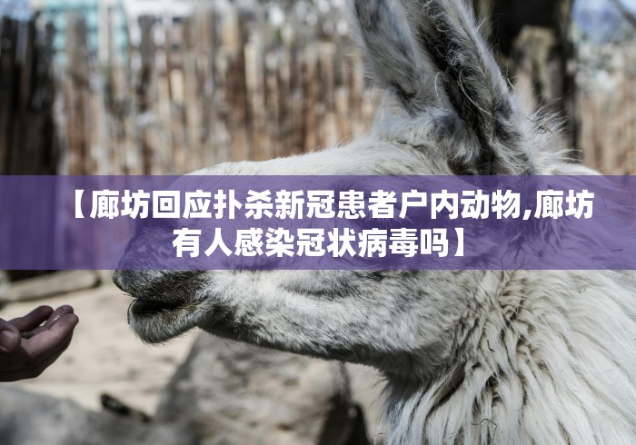 强力推荐“牛魔王有没有挂可以开挂吗”详细分享装挂步骤