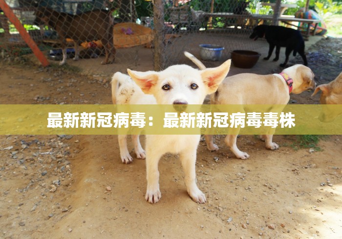 辅助最新信息“开心麻将开挂神器下载软件	”(确实真的有挂)