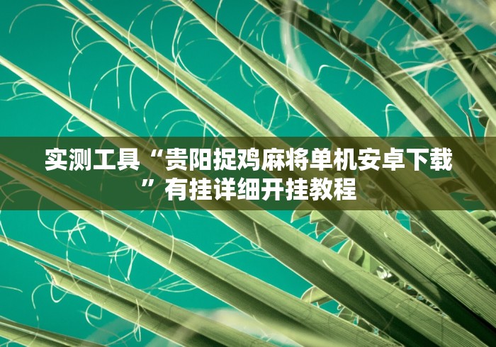 实测工具“贵阳捉鸡麻将单机安卓下载”有挂详细开挂教程
