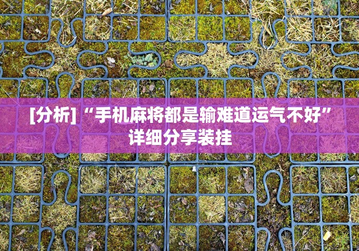 [分析]“手机麻将都是输难道运气不好	”详细分享装挂