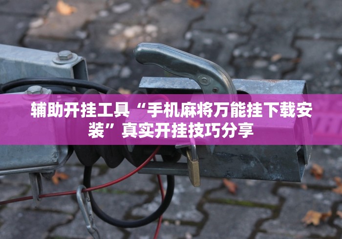辅助开挂工具“手机麻将万能挂下载安装	”真实开挂技巧分享