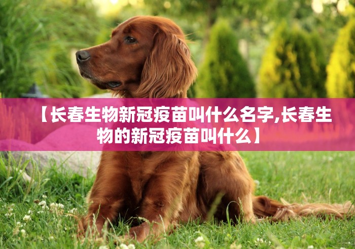 辅助最新信息“手机麻将可以看到对方的牌吗[分享装挂详细步骤]