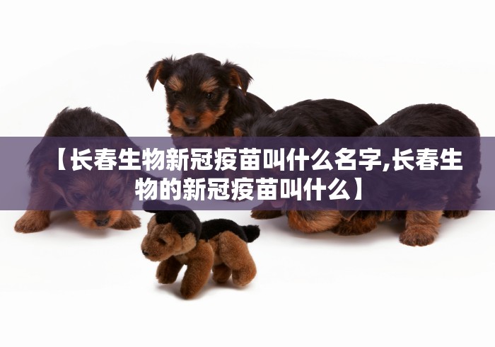 必看教程“手机麻将外卦神器是真的吗”开挂辅助详细步骤