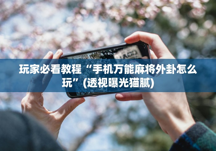 玩家必看教程“手机万能麻将外卦怎么玩”(透视曝光猫腻)