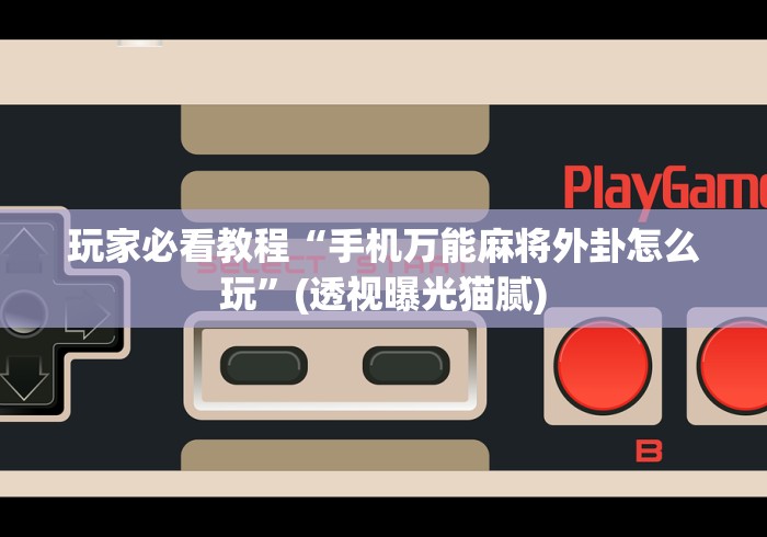 玩家必看教程“手机万能麻将外卦怎么玩”(透视曝光猫腻)