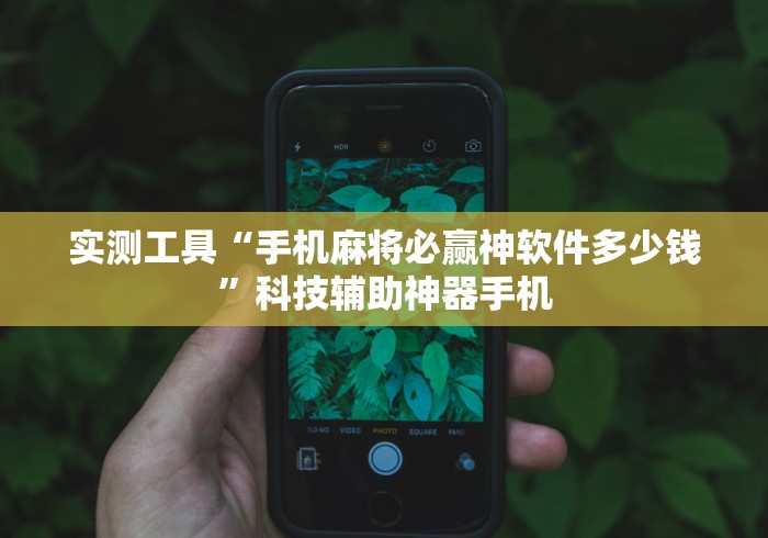 实测工具“手机麻将必赢神软件多少钱”科技辅助神器手机