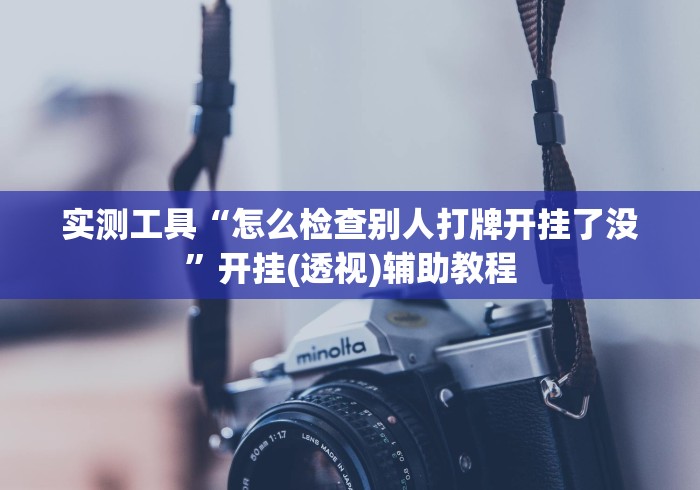 实测工具“怎么检查别人打牌开挂了没	”开挂(透视)辅助教程