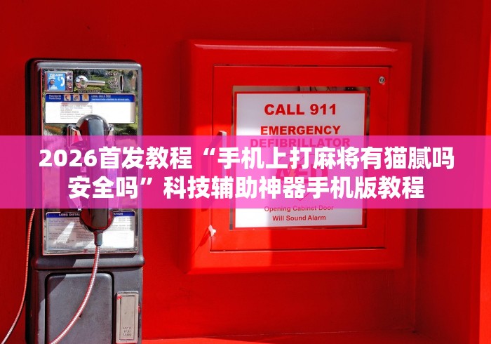2026首发教程“手机上打麻将有猫腻吗安全吗”科技辅助神器手机版教程