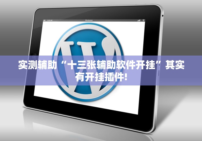 实测辅助“十三张辅助软件开挂	”其实有开挂插件!
