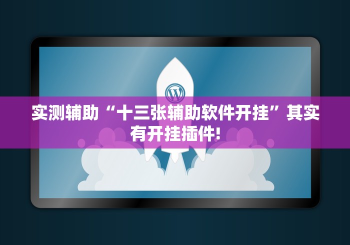 实测辅助“十三张辅助软件开挂”其实有开挂插件!