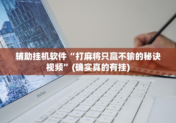 辅助挂机软件“打麻将只赢不输的秘诀视频”(确实真的有挂)