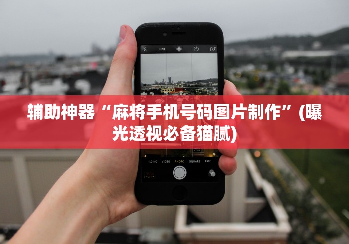 辅助神器“麻将手机号码图片制作”(曝光透视必备猫腻)