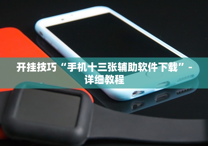 开挂技巧“手机十三张辅助软件下载”-详细教程